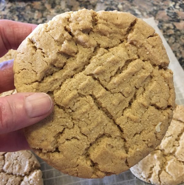 Peanutty Cookie